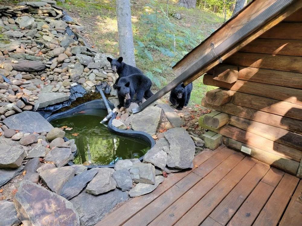 Holiday home Very Private, Real Log With Hot Tub!